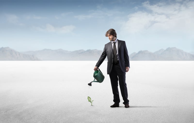 Image of a man in a business suit watering a tiny plant in a desert.